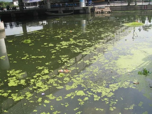 城市黑臭河道如何治理？河道黑臭水體治理思路