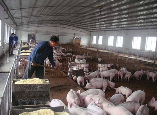 什么是養(yǎng)殖廢水？養(yǎng)殖廢水處理工藝